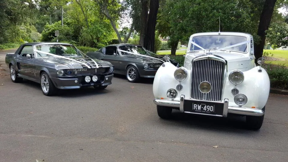 Wedding Cars Direct vintage car detail
